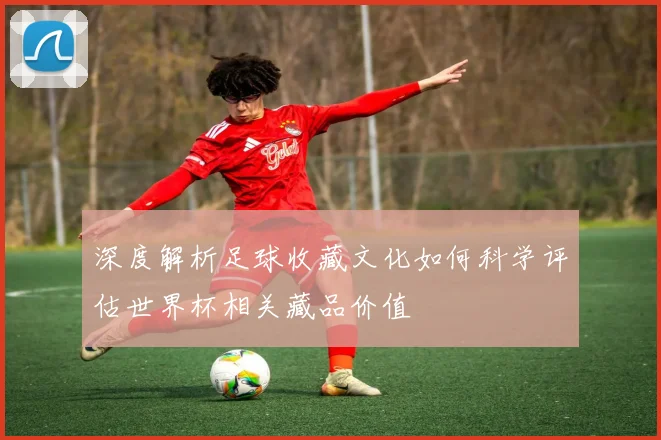 深度解析足球收藏文化如何科学评估世界杯相关藏品价值