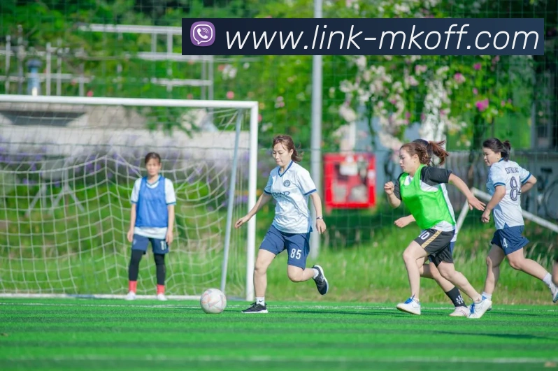 App Interface Preview